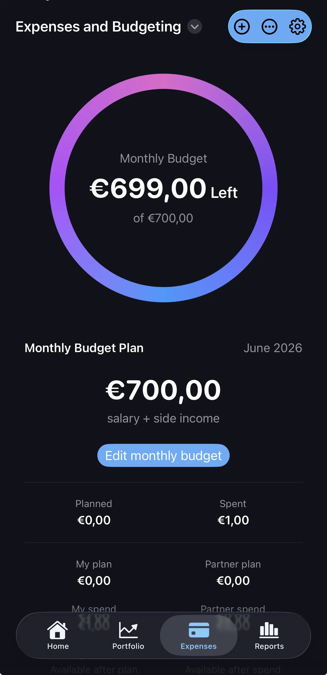 Expenses and budget pillars for the month